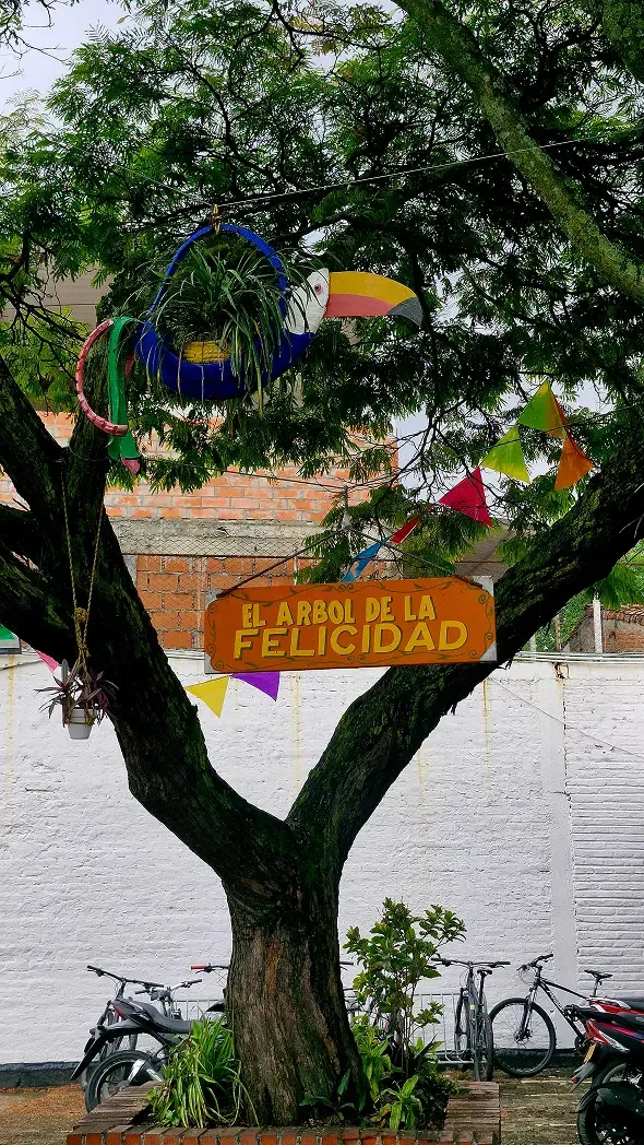 Estudiantes Colegio Mayor Santiago de Cali 10